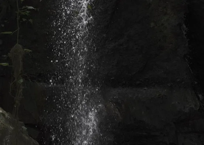Indigo Nature Cerca De Rincon De La Vieja Campsite