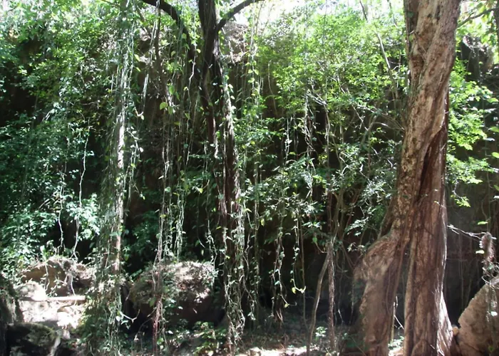 Indigo Nature Cerca De Rincon De La Vieja * Liberia