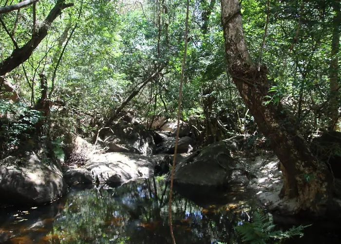 Campsite Indigo Nature Cerca De Rincon De La Vieja