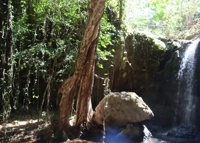 Indigo Nature Cerca De Rincon De La Vieja Liberia